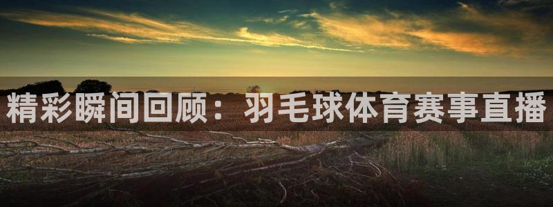 精彩瞬间回顾：羽毛球体育赛事直播