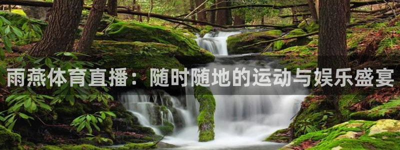 雨燕体育直播：随时随地的运动与娱乐盛宴