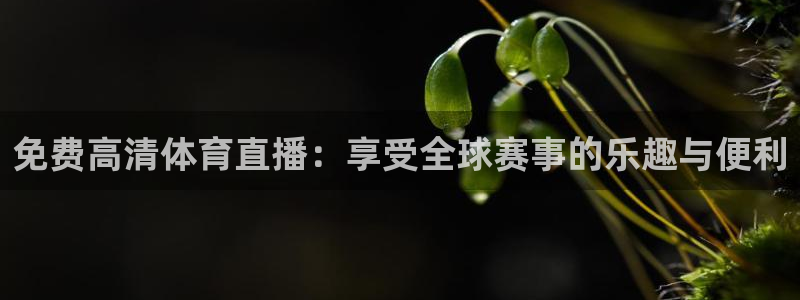 免费高清体育直播：享受全球赛事的乐趣与便利