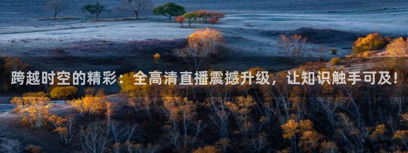 跨越时空的精彩：全高清直播震撼升级，让知识触手可及!