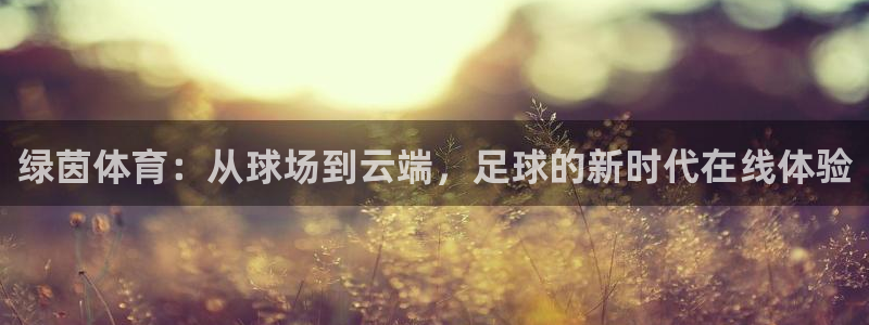 绿茵体育：从球场到云端，足球的新时代在线体验